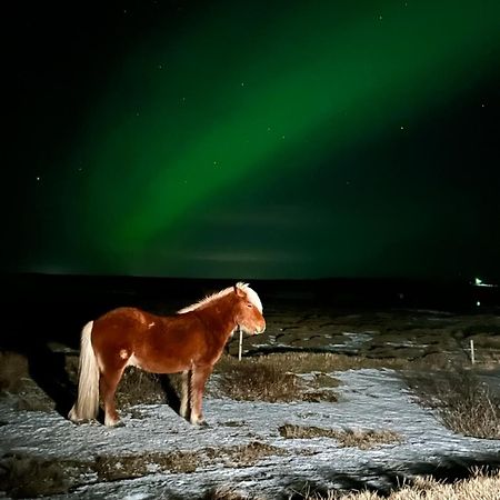 Guesthouse Didi Flagbjarnarholt Esterno foto